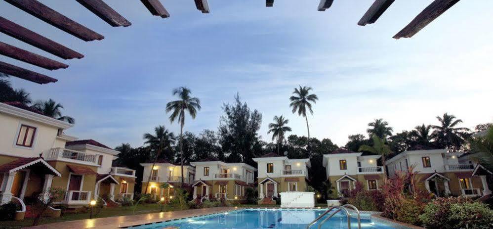 Resort White Square Nirvana, Parra 3*