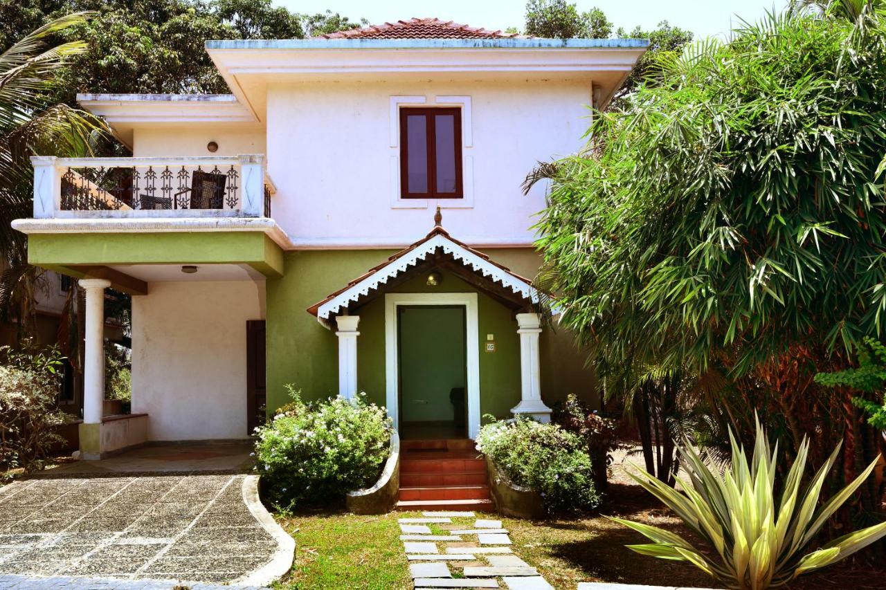 White Square Nirvana, Parra Mapusa