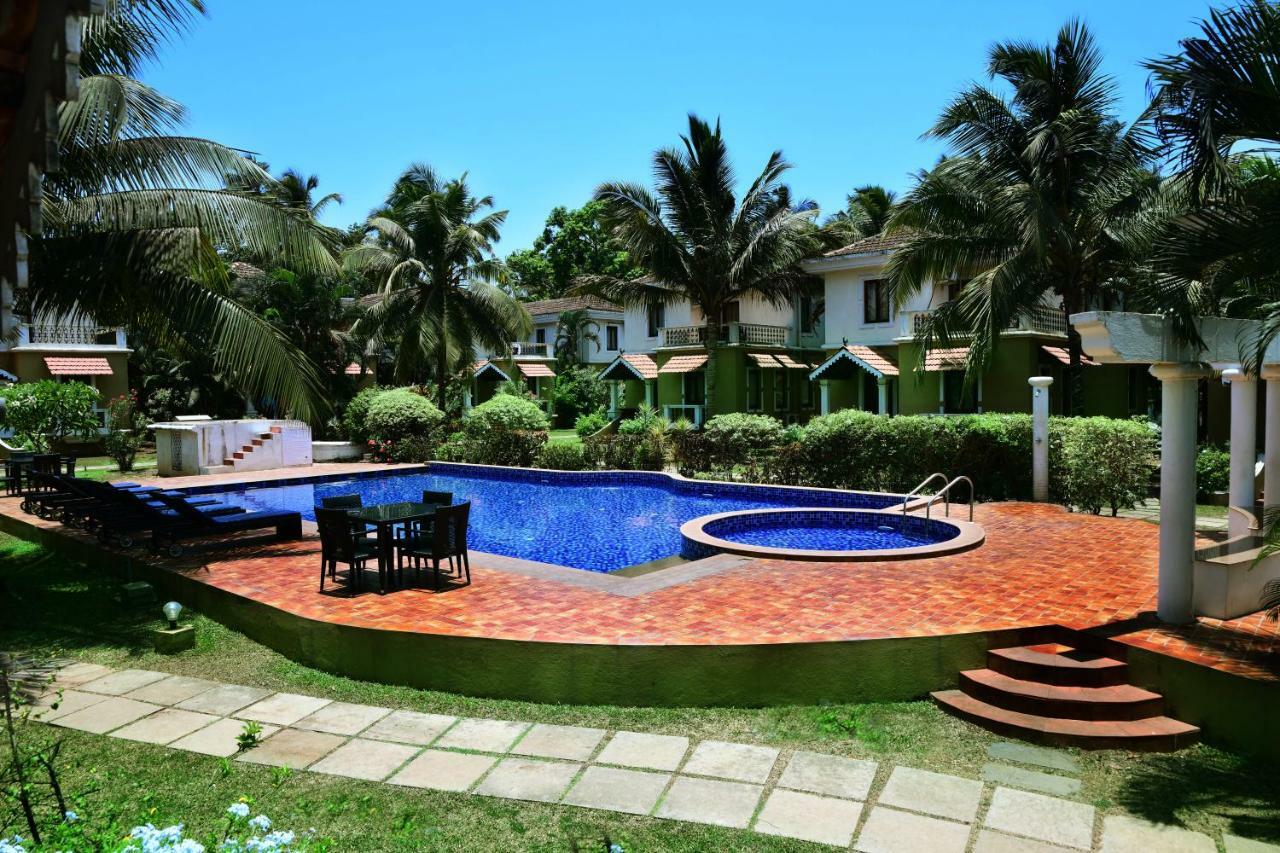 White Square Nirvana, Parra Mapusa
